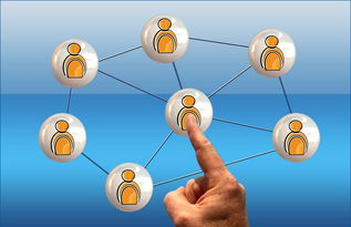 乐鱼体育官网下载-英超球员社交媒体互动提升粉丝忠诚度研究，英超球队球迷